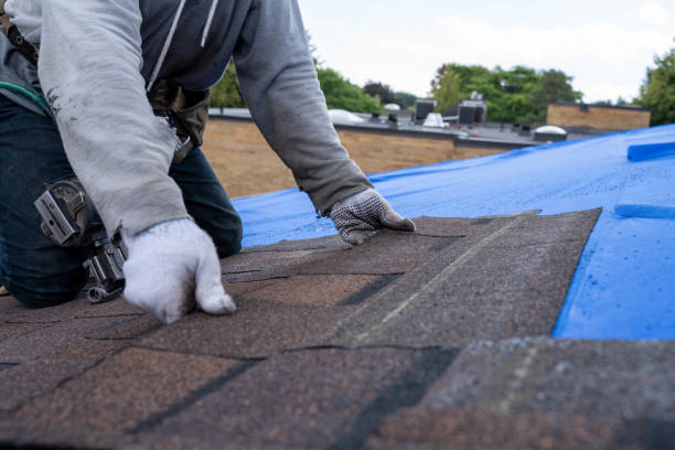 Best Roof Maintenance Services  in Frackville, PA